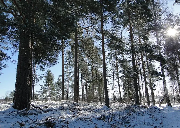 Sunne Hembygdsgard B&B