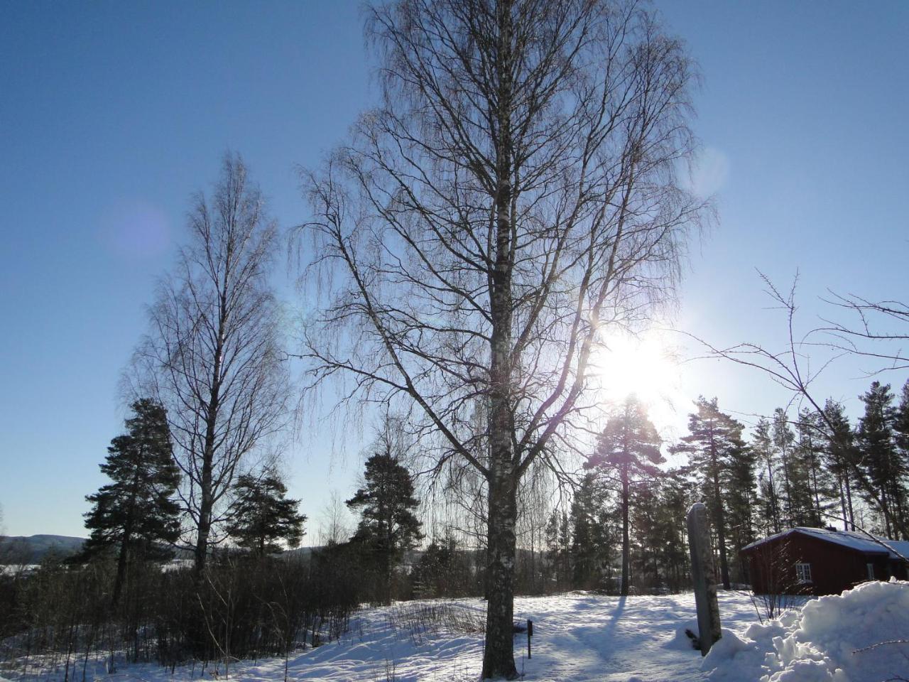 Hembygdsgard Sunne